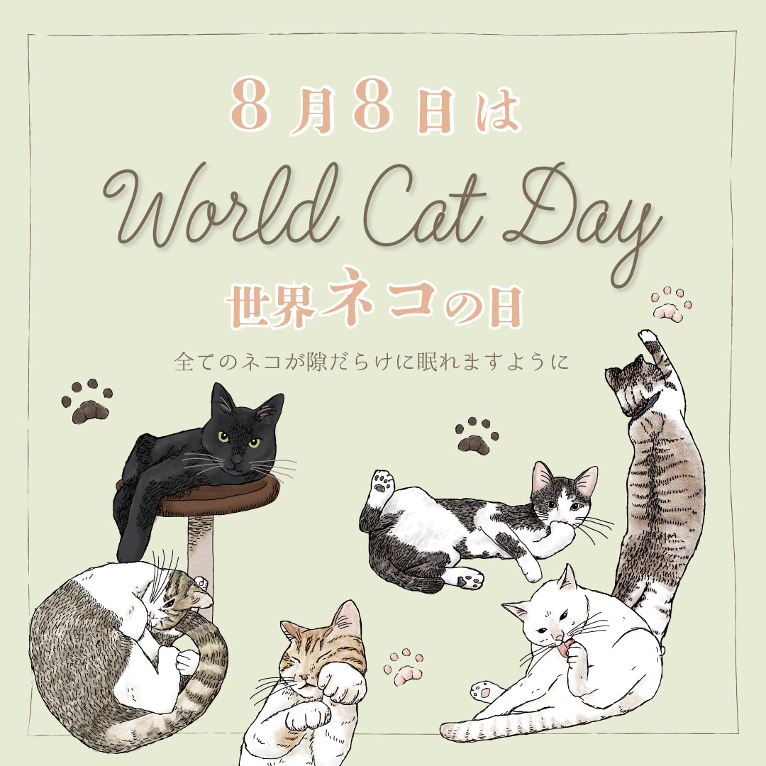 2023年世界猫の日応援キャンペーン – aoneco Project