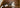 aoneco支援先_NPO法人動物愛護団体『LYSTA』2024年6月~7月活動報告