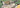 aoneco支援先_静岡県『猫カフェいろり』2025年6月活動報告・寄付金のお礼