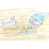 aoneco × minaco sakamoto ねこだらけカレンダー2024 ca023
