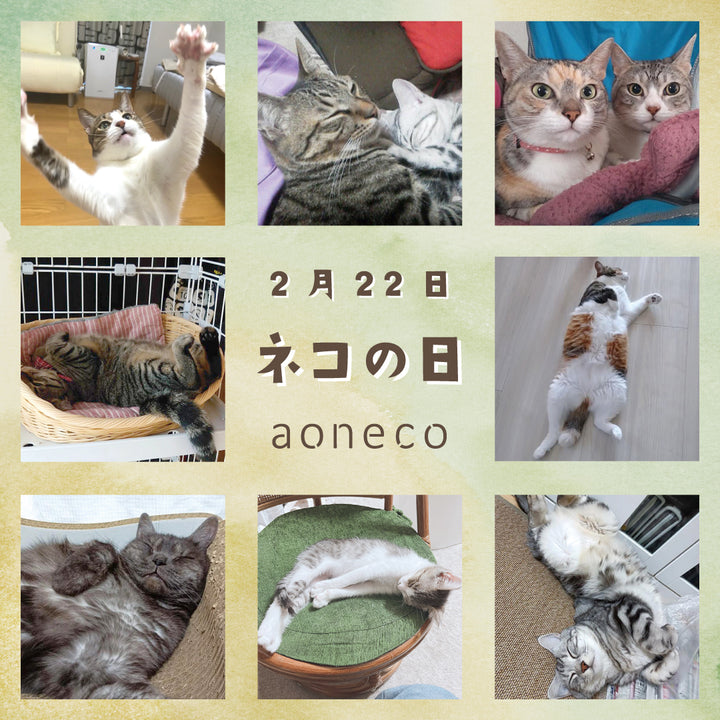 aonecoプロジェクト【2月22日ネコの日】愛猫コラージュを公開