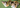 aoneco支援先_静岡県『猫カフェいろり』2025年8月活動報告・寄付金のお礼