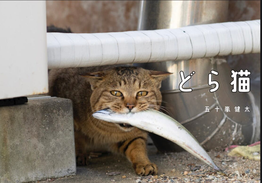 飛び猫　どら猫　写真集