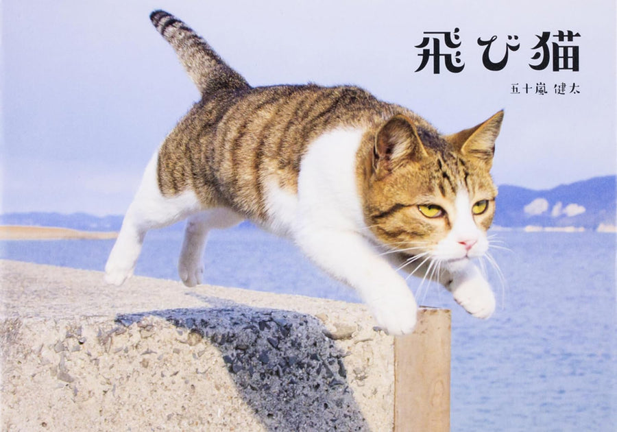 飛び猫　写真集