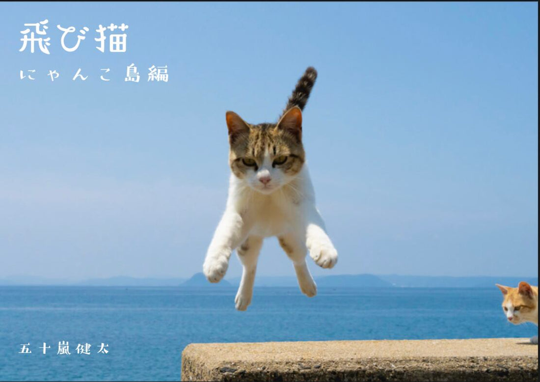 飛び猫　にゃんこ島編　写真集