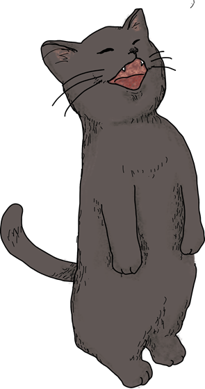 ローディング黒猫