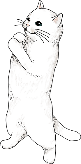 ローディング白猫