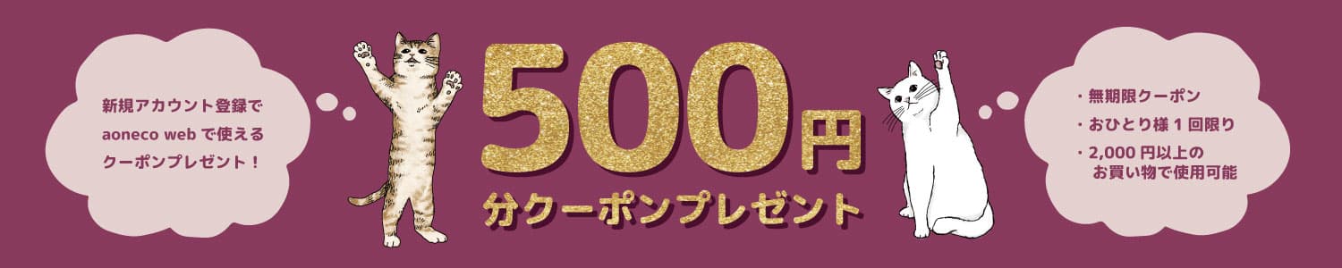 500円クーポン
