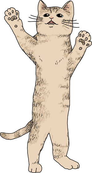 ローディング茶虎猫